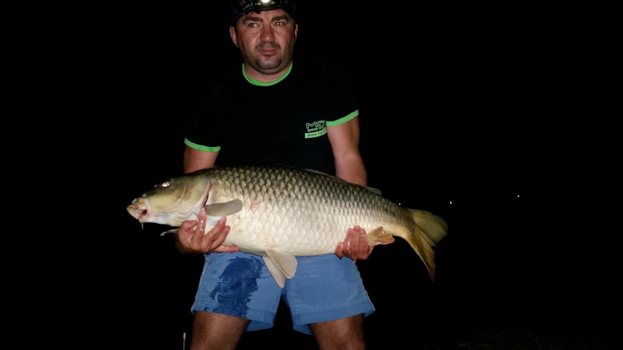 catch & release - 20140905003151.jpg